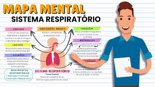 MAPA MENTAL SIMPLIFICADO DO SISTEMA RESPIRATÓRIO [upl. by Wilkins]