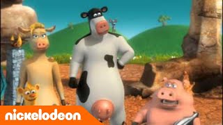 La Ferme en folie  La cérémonie Porc  Nickelodeon France [upl. by Dorrie396]