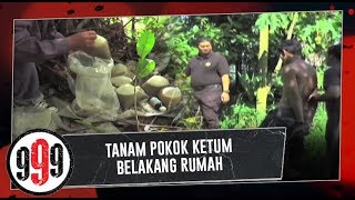 TANAM POKOK KETUM BELAKANG RUMAH  999 4 December 2018 [upl. by Yeslrahc148]