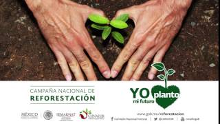 Campaña Nacional de Reforestación 2016 [upl. by Milon297]