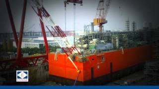 EXMAR Caribbean FLNG time lapse [upl. by Neenad]