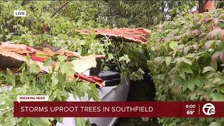 Storm brings tree down at Geoffrey Fiegers office [upl. by Aikal]