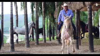 Mix Vicente Fernandez  Corrida De Caballos Dj Carlos Sanabria [upl. by Maer585]