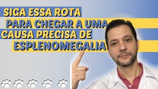 Fisiopatologia da hepatoesplenomegalia em cÃ£es e gatos [upl. by Enineg]