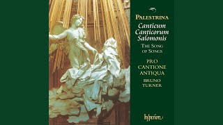 Palestrina Canticum Canticorum quotThe Song of Songsquot VII Fasciculus myrrhae dilectus meus [upl. by Aia]