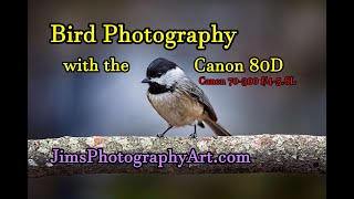 Bird Photography with the Canon 80D [upl. by Stila818]