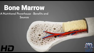 Marrow Magic Exploring the Surprising Benefits and Rich Sources of Bone Marrow [upl. by Ymerej545]