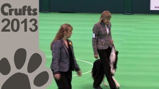 Obedience Dog Championships  Day 3  Crufts 2013 Jackie Duck amp Tyeford Xander [upl. by Julie]