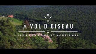 Le parc naturel régional des Vosges du Nord à vol doiseau [upl. by Eelyac]