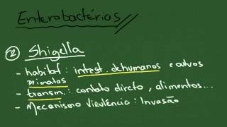 Enterobactérias 1 Shigella Salmonella Yersinia  Resumo  Microbiologia [upl. by Dimo979]