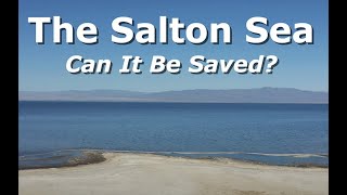 Uncovering Salton Seas Future in 2024 [upl. by Annaoi969]