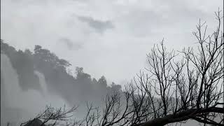 Athirappilly waterfalls Kerala Nov 2021 athirapalli athirappally waterfalls maruvarthaipesathe [upl. by Connelly298]