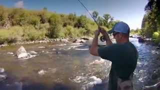 Idaho Small Stream Fly Fishing Fall River [upl. by Ardnekan]