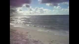 Navarre Beach Florida 2014Tangerine Dream The Soldier [upl. by Aciria]