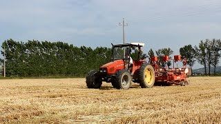 Semina mais su sodo  Massey Ferguson 4245  Seminatrice Gaspardo Regina [upl. by Baelbeer]