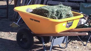 Best Dual Wheelbarrow for Gardening  True Temper Wheelbarrow 6 Cu Ft  How to Assemble — 2023 [upl. by Squires286]