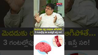 What Happens if Blood Supply to the Brain Stops for 5 Minutes l Dr Venkatesh Yeddula MedPlusONETV [upl. by Neale]