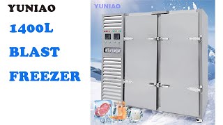 1400L Commercial Contact Plate Freezer Air Blast Freezer Iqf Quick Freezing Machine 45c For Seafood [upl. by Granville]