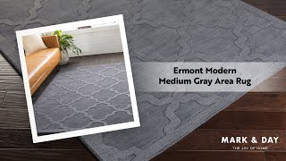 Ermont Modern Medium Gray Area Rug [upl. by Dry]