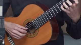 Classical Guitar Lesson 1 [upl. by Ronnholm]