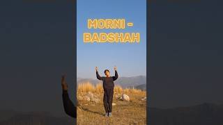 MORNI 🦚✨️   BADSHAH  Trending dance steps🕺🔥 shorts dance [upl. by Ellatsirhc]