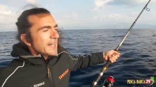 PESCA a SPINNING e TRAINA per LAMPUGHE e TONNI [upl. by Gracia]