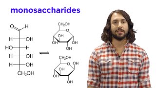 Carbohydrates Part 1 Simple Sugars and Fischer Projections [upl. by Yrrag391]