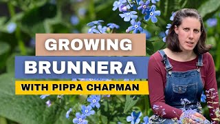 Brunnera Plant Care With Pippa Chapman [upl. by Ahtaela]