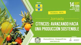 Jornada Cítricos Avanzando hacia una producción sostenible [upl. by Rezzani]