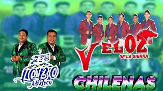 Lobo Mixteco ft Veloz De La Sierra 🎶 Las Mejores Chilena Mixteca  Chilenas de Oaxaca Para Bailar [upl. by Orpha]