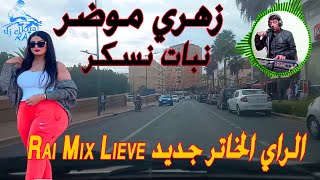 جديد راي هبال ختثر زهري موضر نبات نسكر مع احلى جولة بالمدينة Jadid Rai Mix Hbal 2025 [upl. by Vally]