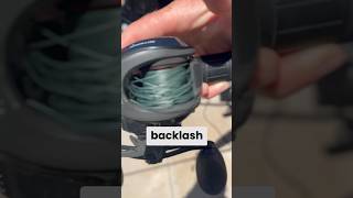 3 🚫 Backlash Baitcasting Mastery Hacks bassfishing [upl. by Eimmis793]