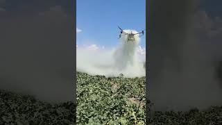 Drone Irrigation agricultureinnovation irrigationtech farming irrigationsolutions [upl. by Angelo]