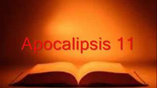 APOCALIPSIS completo Biblia hablada RV 1960 [upl. by Mungam]