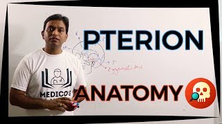 ANAHNB016 Pterion  Anatomy  Dr Prashant Sharma [upl. by Francois]