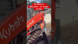 Huge stump vs Forestry Mukcher hustle satisfying beblessed [upl. by Lars]