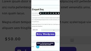 What is a WooCommerce builder and how does it work brizy woocommerce [upl. by Acinemod]