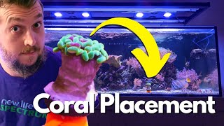 Whats The Perfect Coral Placement in a Reef Aquarium A Beginners Guide [upl. by Sylvan577]