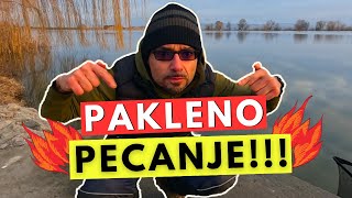 🔥🔥🔥PAKLENO PECANJE🔥🔥🔥  30 šarana u januaru [upl. by Enrichetta]