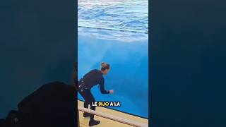 La Orca Domesticada Más Fina Que Jamás Hayas Visto ❤️ [upl. by Htidirrem216]