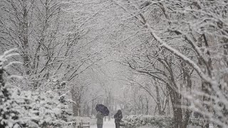 La mayor nevada en Seúl en un único día de diciembre en 40 años [upl. by Spain]