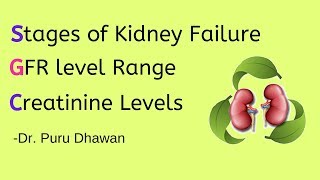 Stages of Kidney failure  GFR level Range  Creatinine Levels [upl. by Nomolos]