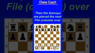 Mastering Chess Proper Board Setup Tutorial [upl. by Ulises]