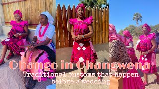 VLOG Oshiwambo Traditional customs The day before the wedding African traditional wedding [upl. by Benedic940]