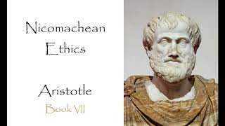 The Nicomachean Ethics  Book VII Audiobook [upl. by Nohtiek297]