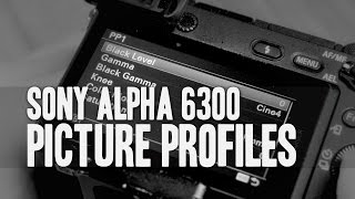 Sony a6300 Picture Profile Settings [upl. by Ahselyt]