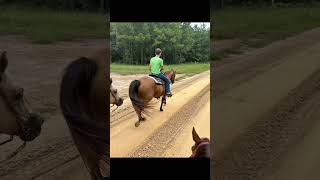 Happy place Riding with these munchkins aqha horseriding farmkids [upl. by Earazed974]