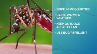 Lake County expecting increase in mosquitoes [upl. by Garey203]