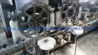 Dry powder Filling Machine [upl. by Connell]