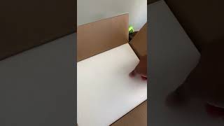 2024 Leopard Gecko Unboxing From BampM Geckos [upl. by Anikram]